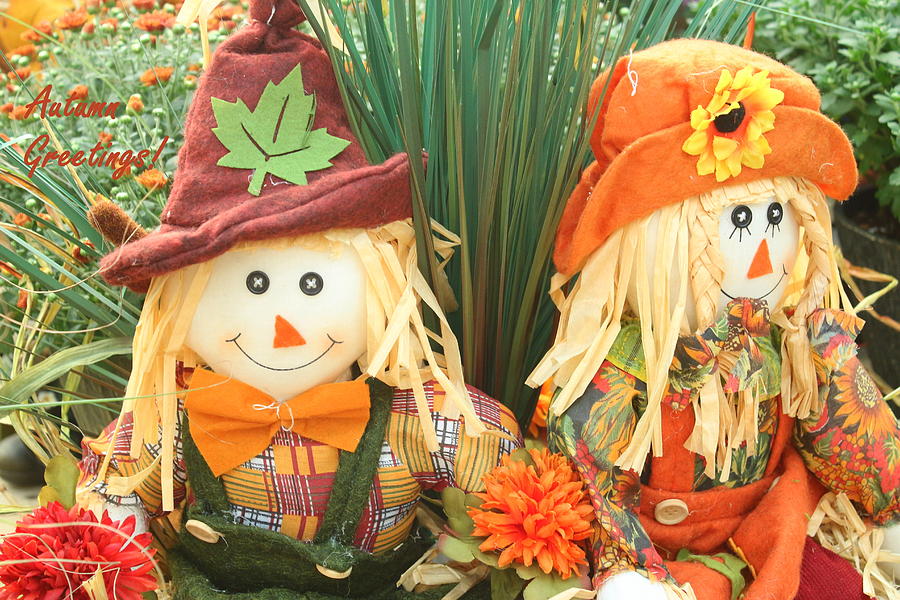 The Scarecrows Of Autumn Photograph by Dora Sofia Caputo Photographic ...