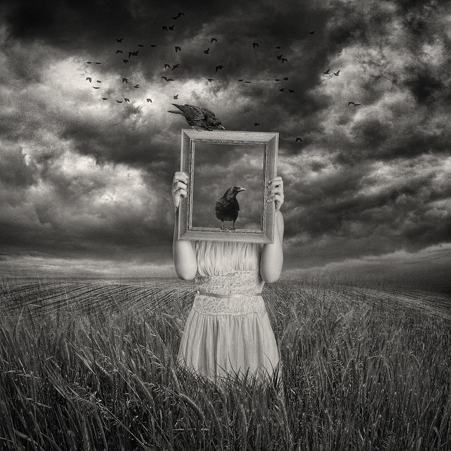 Composite Photograph - The Scarecrow by Baden Bowen