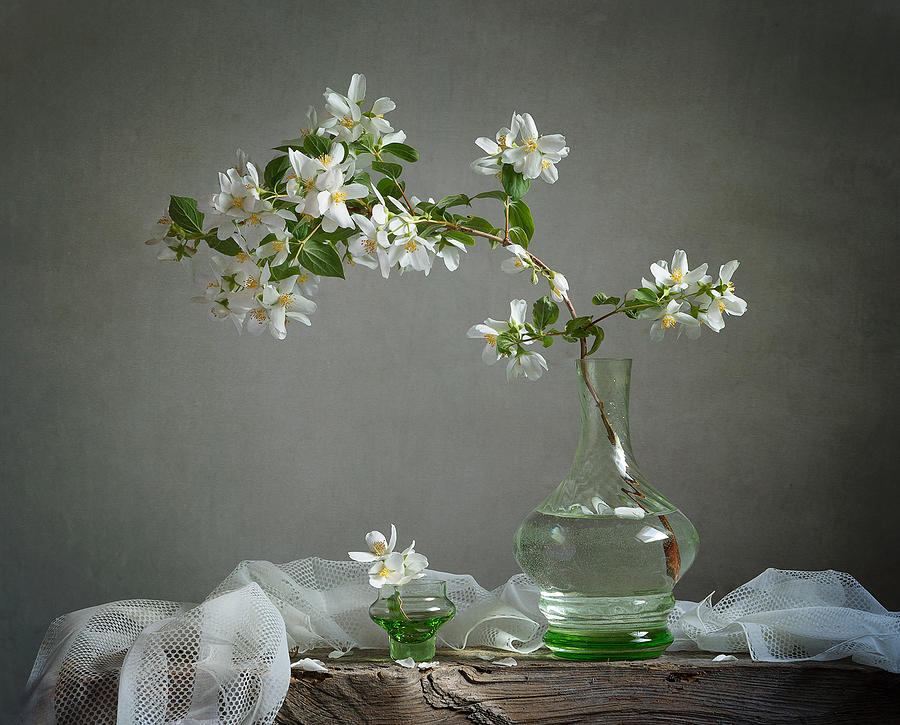 The Scent Of Spring Photograph by Inna Sukhova - Fine Art America