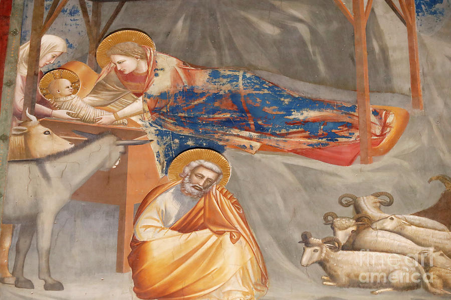 Giotto Di Bondone Painting - The Scrovegni Chapel. Fresco  By Giotto, 14 Th Century. The Nativituy Of Christ.  Padua. Italy. by Giotto