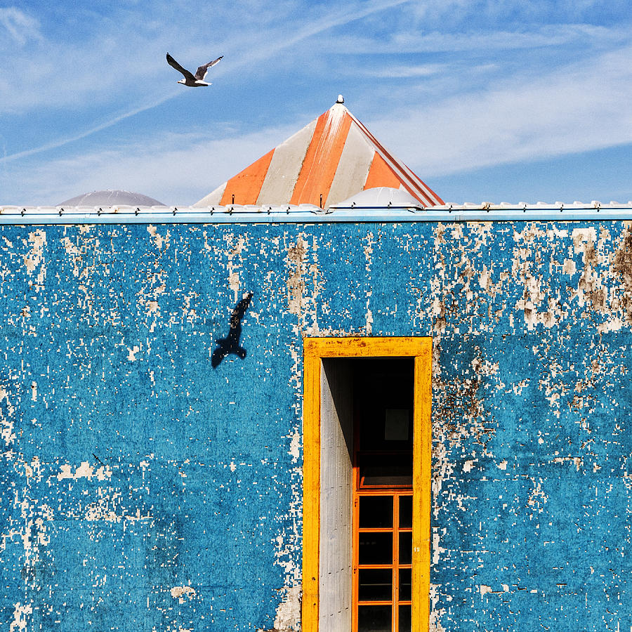 Architecture Photograph - The Seagull by Massimo Della Latta