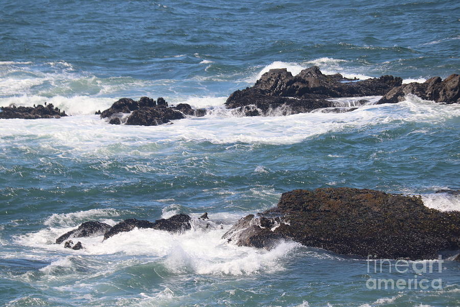 The SeaScape by Cynthia Mask The SeaScape by Cynthia Mask