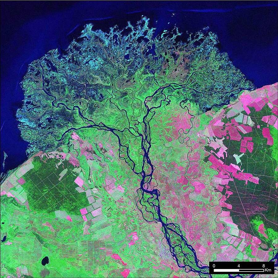The Selenga River delta on the southeast shore of Lake Baikal  Russia  NASA Painting by Celestial Images
