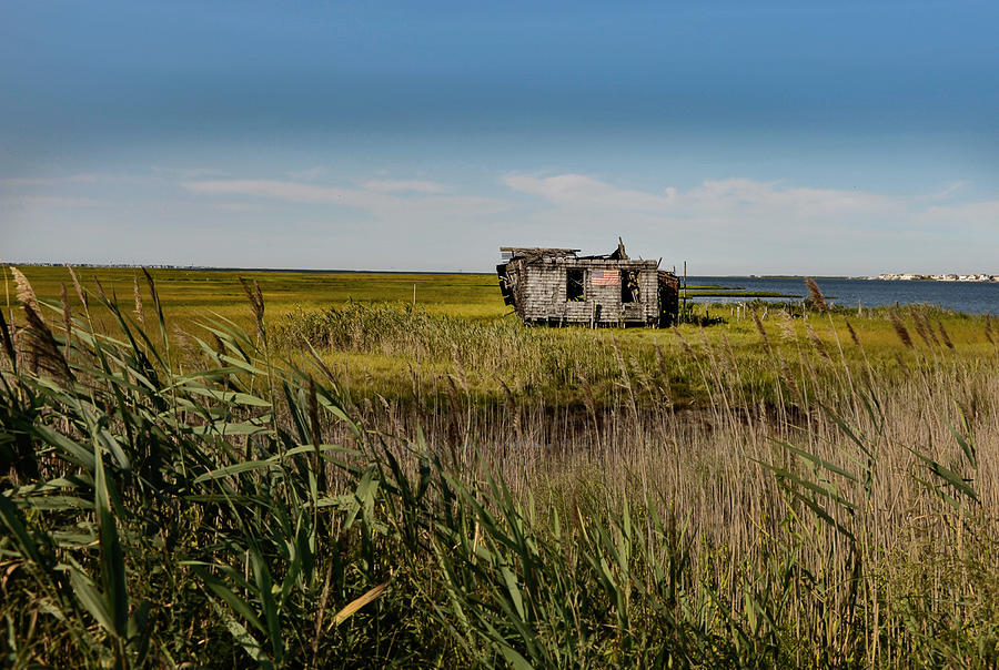 Landscape Photograph - The Shack On Lbi by Kirk Cypel