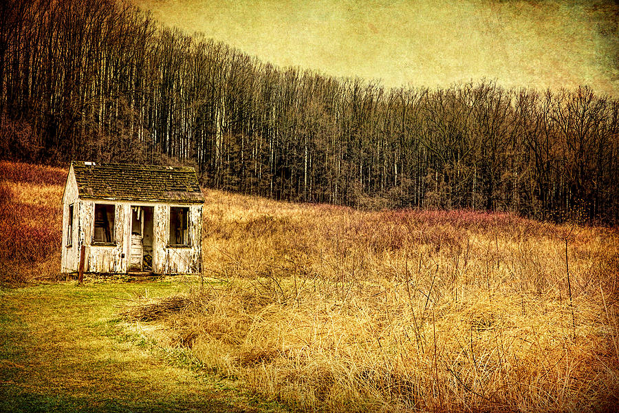 The Shack by Reynaldo Williams The Shack by Reynaldo Williams