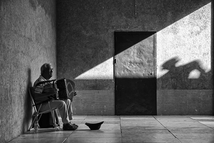Everyday Photograph - The Shadow by Luis Sarmento