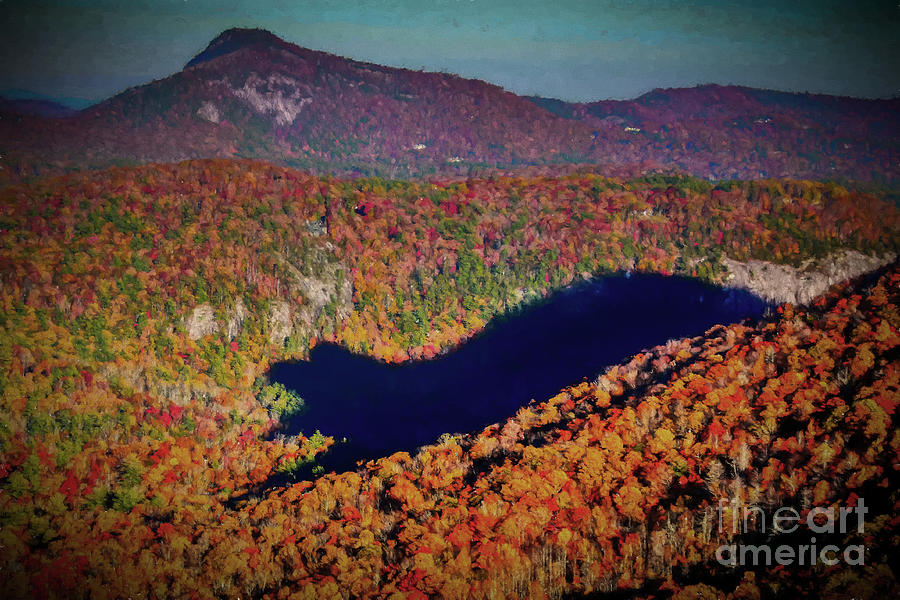 Nature Photograph - The Shadow of the Bear-Cashiers  Highlands NC by Janice Pariza