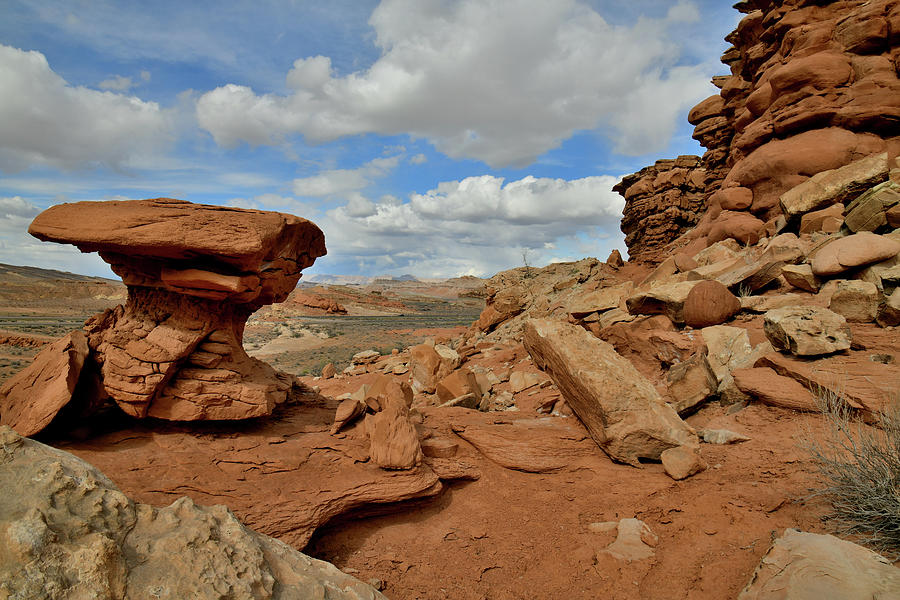 The Shapes of San Rafael Desert in Utah Photograph by Ray Mathis