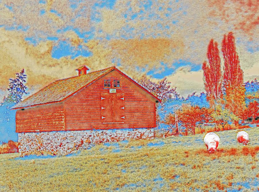 The Sheep Barn Digital Art by Jerry Cahill