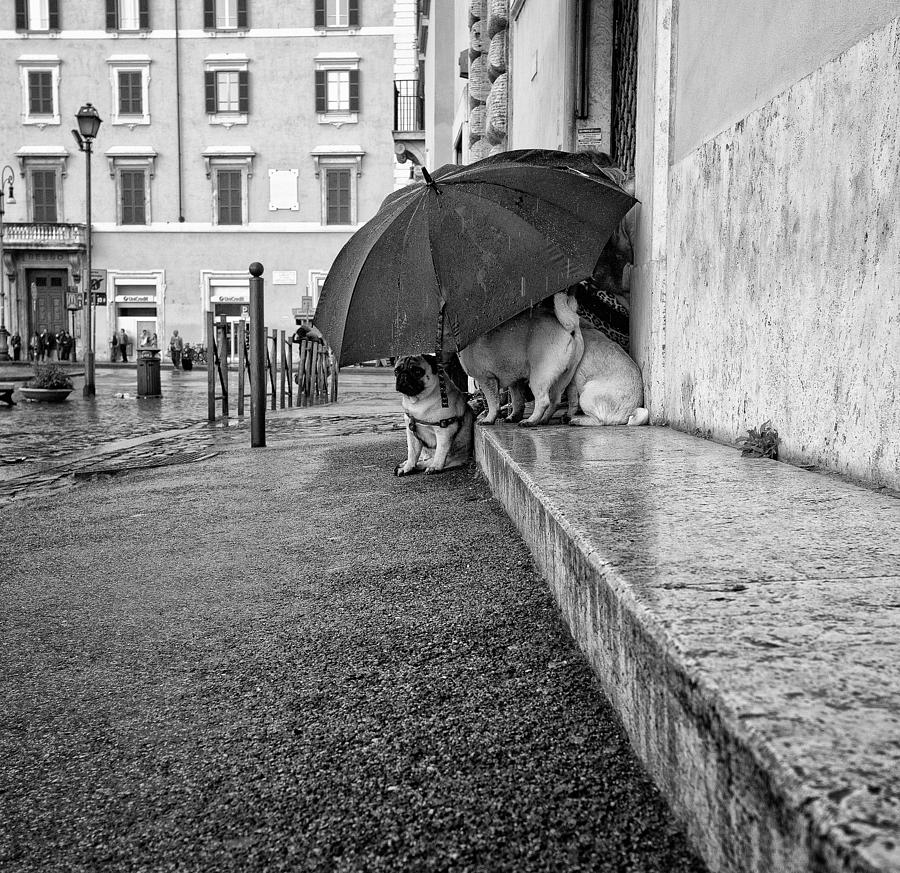 Roma Photograph - The Shelter by Lorenzo Grifantini