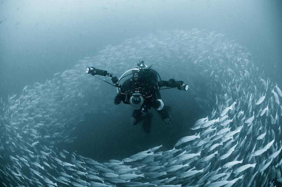 Underwater Photograph - The Shepherd by Dmitry Marchenko