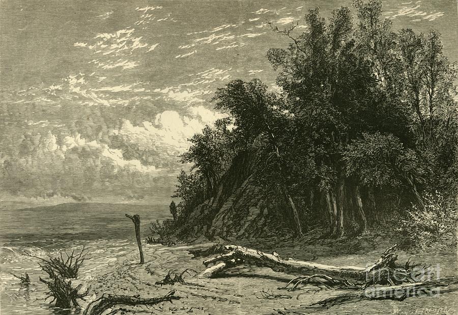 The Shore At Lake Forest Drawing by Print Collector