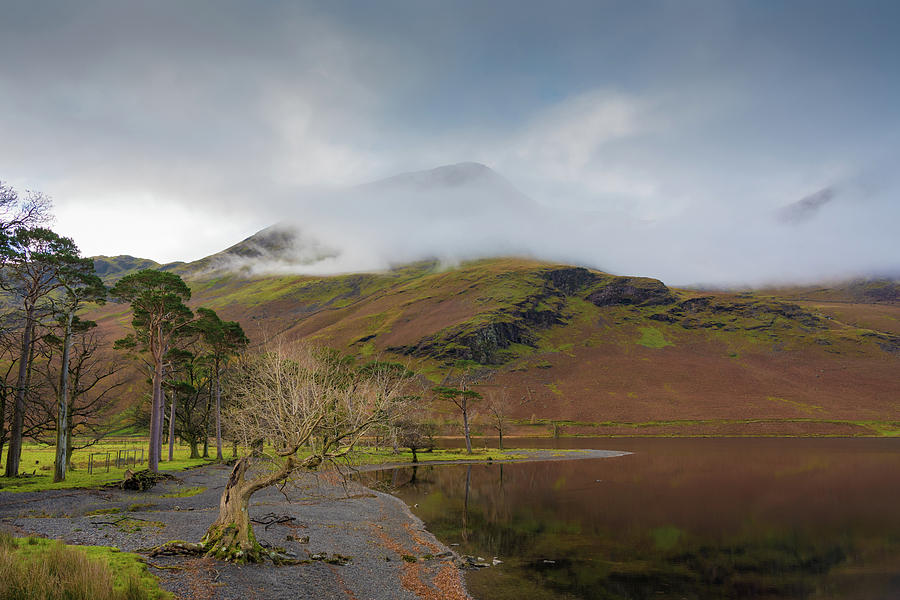 The Shore by Crummock Water Photograph by Roy Pedersen