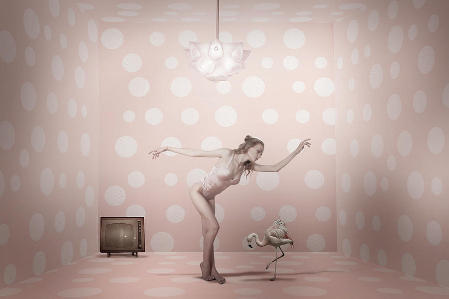 Flamingo Photograph - The Show Must Go On... by Christine Von Diepenbroek