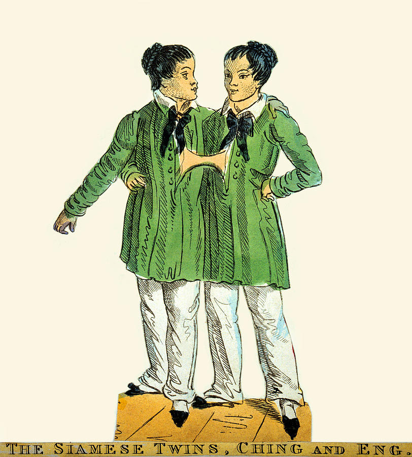 The Siamese Twins, Chang and Eng Painting by Unknown