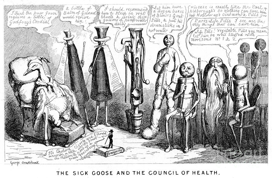 The Sick Goose And The Council Drawing by Print Collector