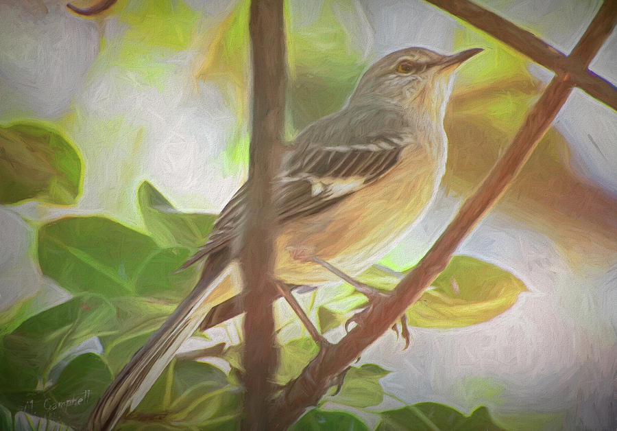The Silent Mockingbird by Michael Campbell The Silent Mockingbird by Michael Campbell