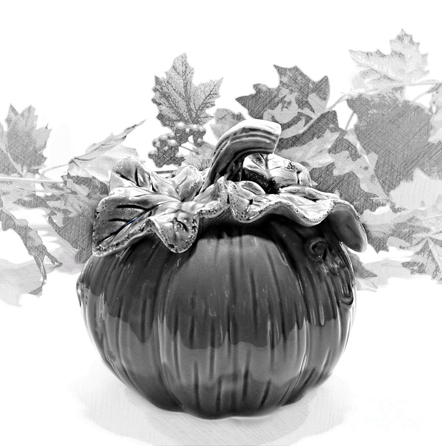 The SIngle Ceramic Pumpkin B and W Mixed Media by Sherry Hallemeier