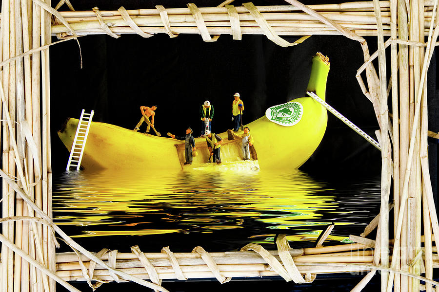 The Sinking Of The SS Banana by Sandra Cockayne ADPS The Sinking Of The SS Banana by Sandra Cockayne ADPS