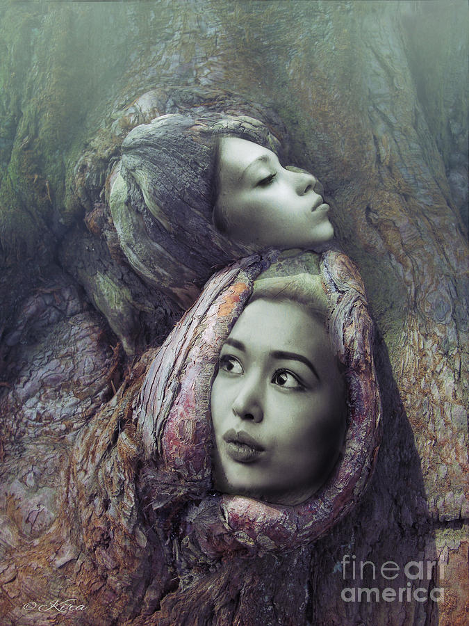The sisters who lived in a tree Photograph by Kira Bodensted