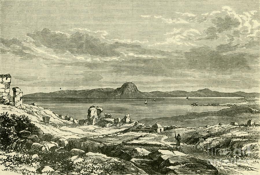 The Site Of Carthage by Print Collector