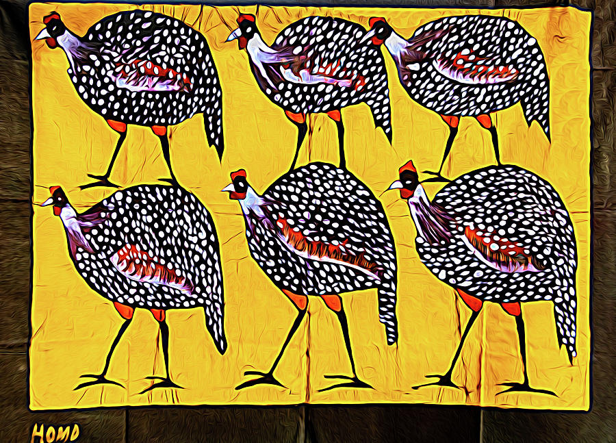 The Six Chickens of Eswatini Photograph by Marcy Wielfaert