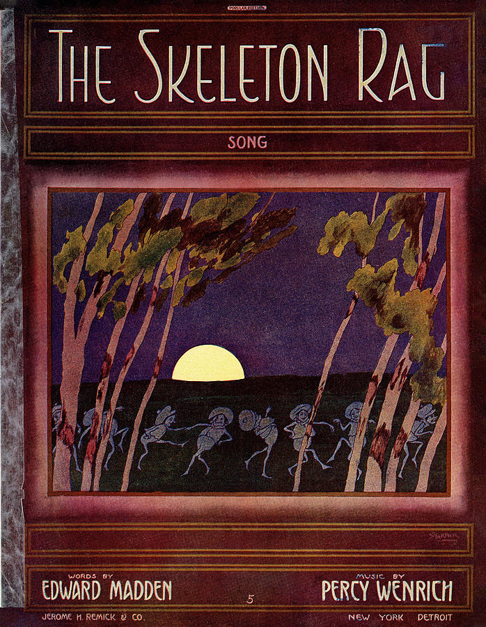 The Skeleton Rag Painting by Starmer