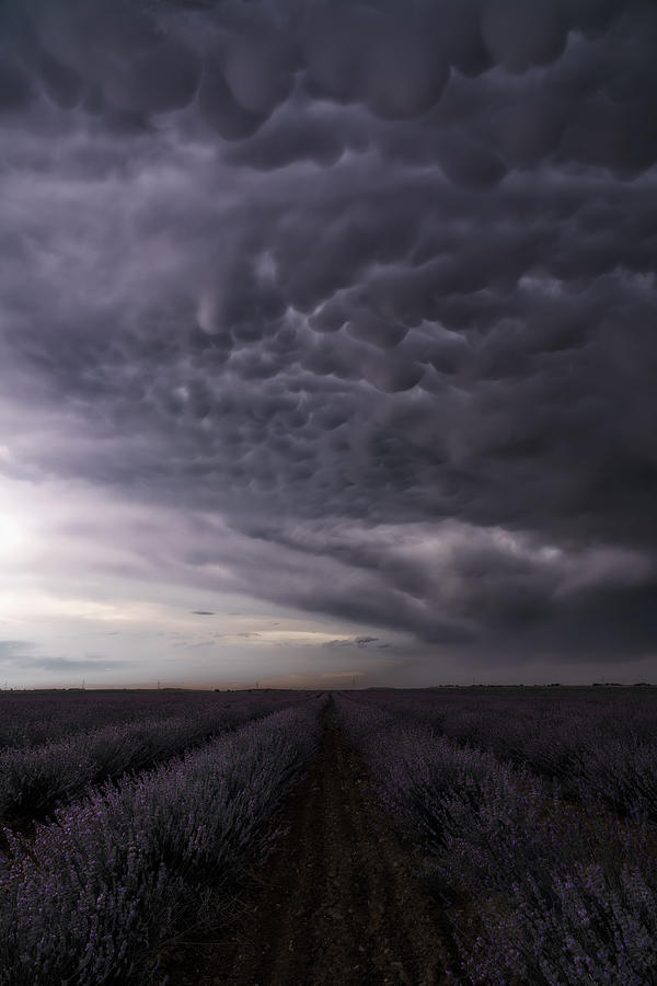 The Sky Is Going To Explode Photograph by Jesus Concepcion Alvarado