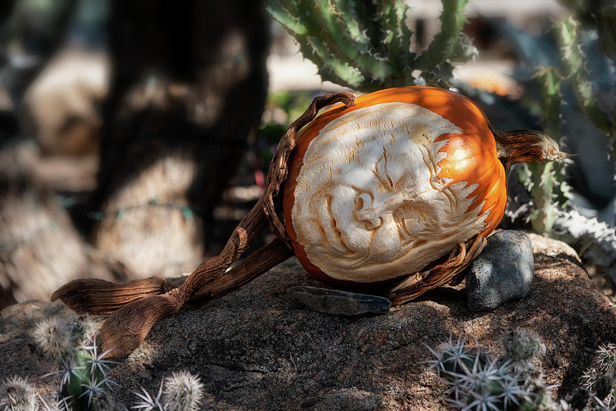 The Sleeping Pumpkinman  Photograph by Saija Lehtonen