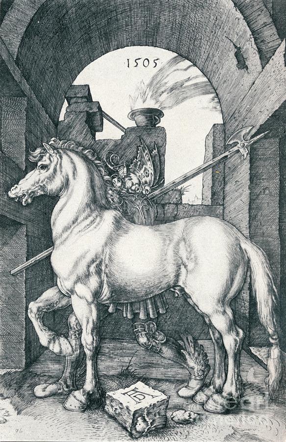 The Small Horse, 1505 1906. Artist Drawing by Print Collector