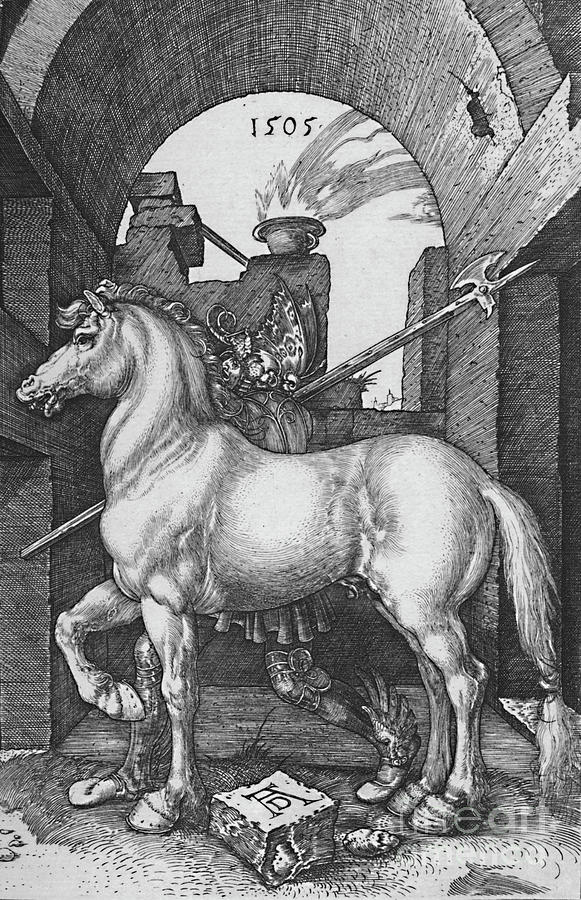 The Small Horse, 1505 Drawing by Print Collector