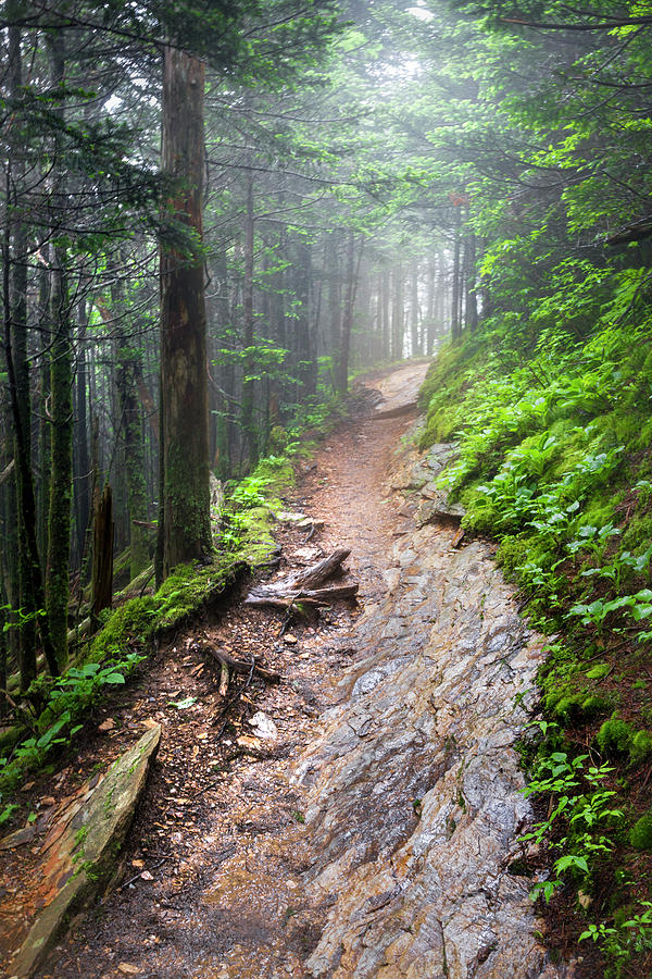 The Smoky Mountain Appalachian Trail Photograph by Debra and Dave Vanderlaan