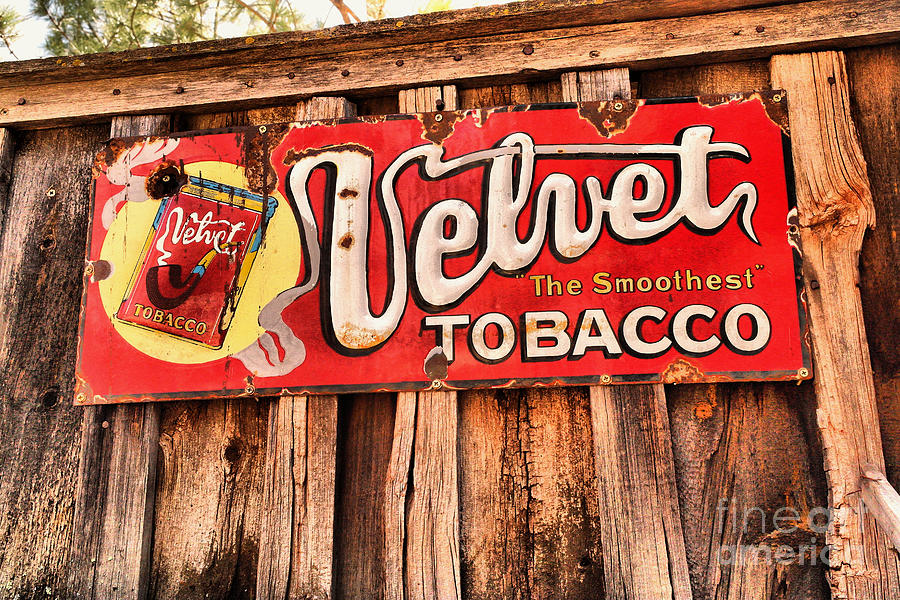 The smoothest tobacco Photograph by Jeff Swan