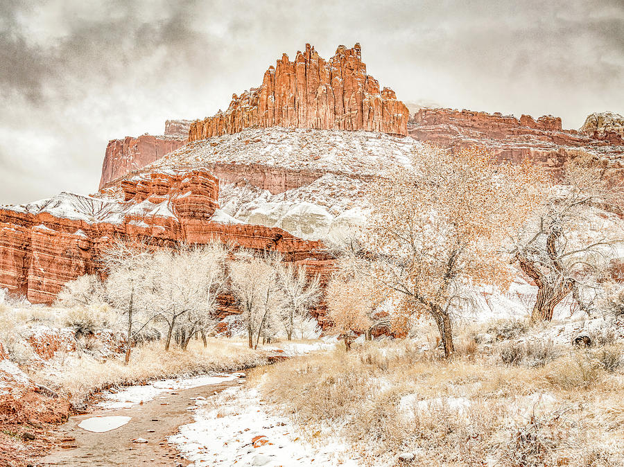 The Snow Castle Photograph by Melissa Lipton