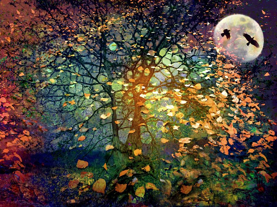 The Soft Shoulder of the Moon by Tara Turner The Soft Shoulder of the Moon by Tara Turner