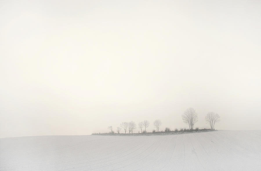 Winter Photograph - The Softness Of A Winter Morning by Lou Urlings