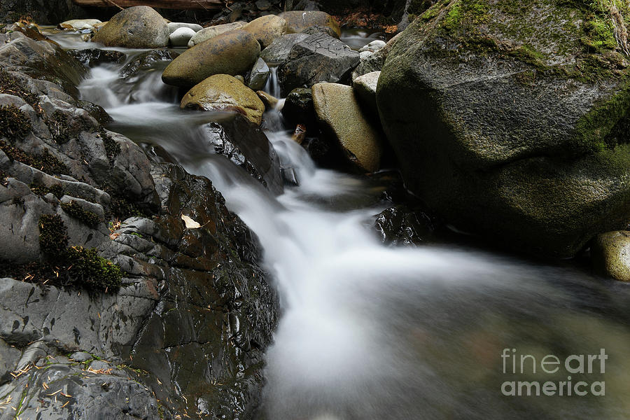 Nature Photograph - The solace of small water by Jeff Swan