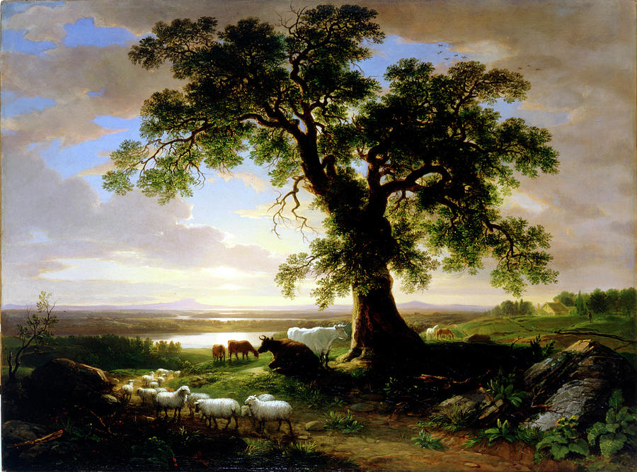 The Solitary Oak - The Old Oak Photograph by The New York Historical Society