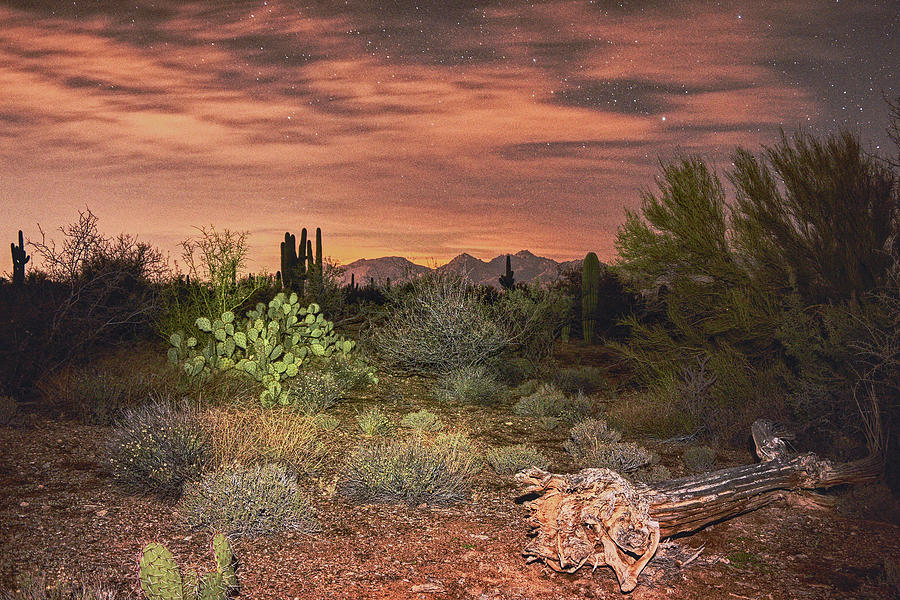 The Sonoran Desert at night Photograph by Chance Kafka