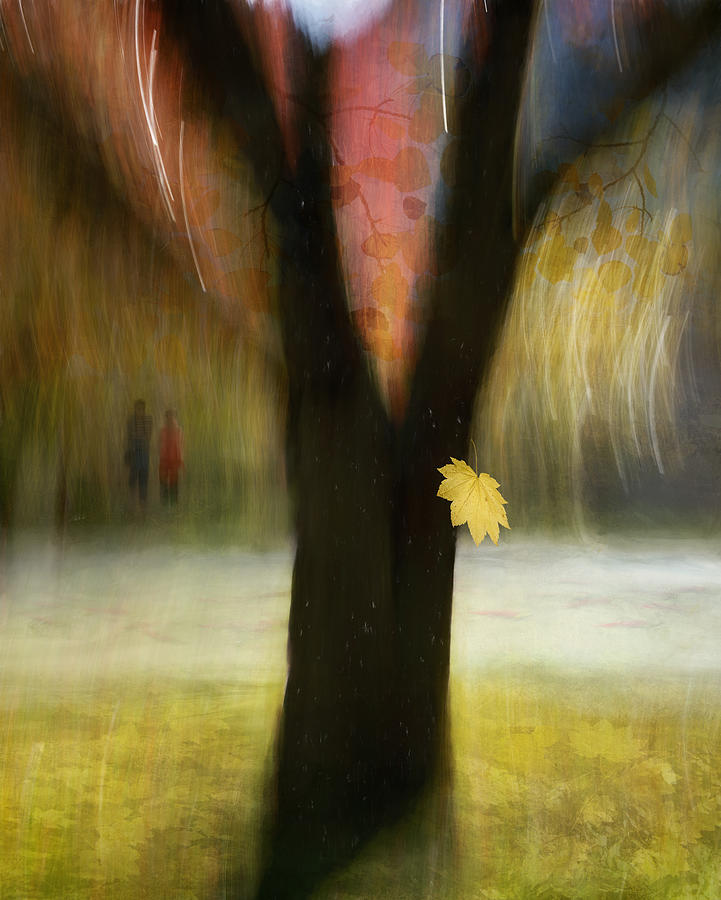 The Sound Of Fall Photograph by Shenshen Dou