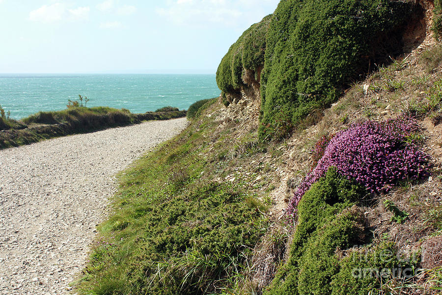 The South West Coast Path At Porthleven Photograph