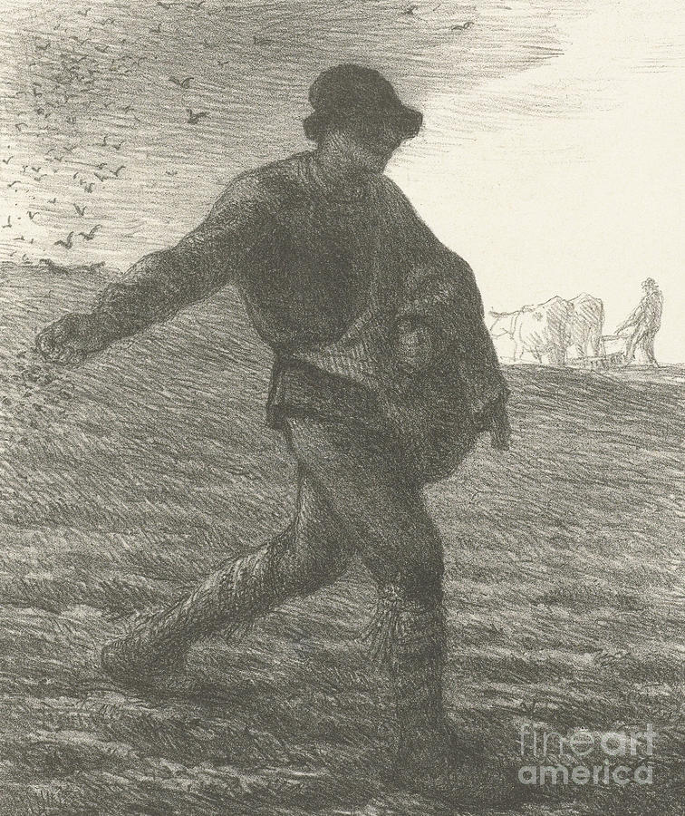 Jean Francois Millet Drawing - The Sower, 1851 lithograph by Jean Francois Millet