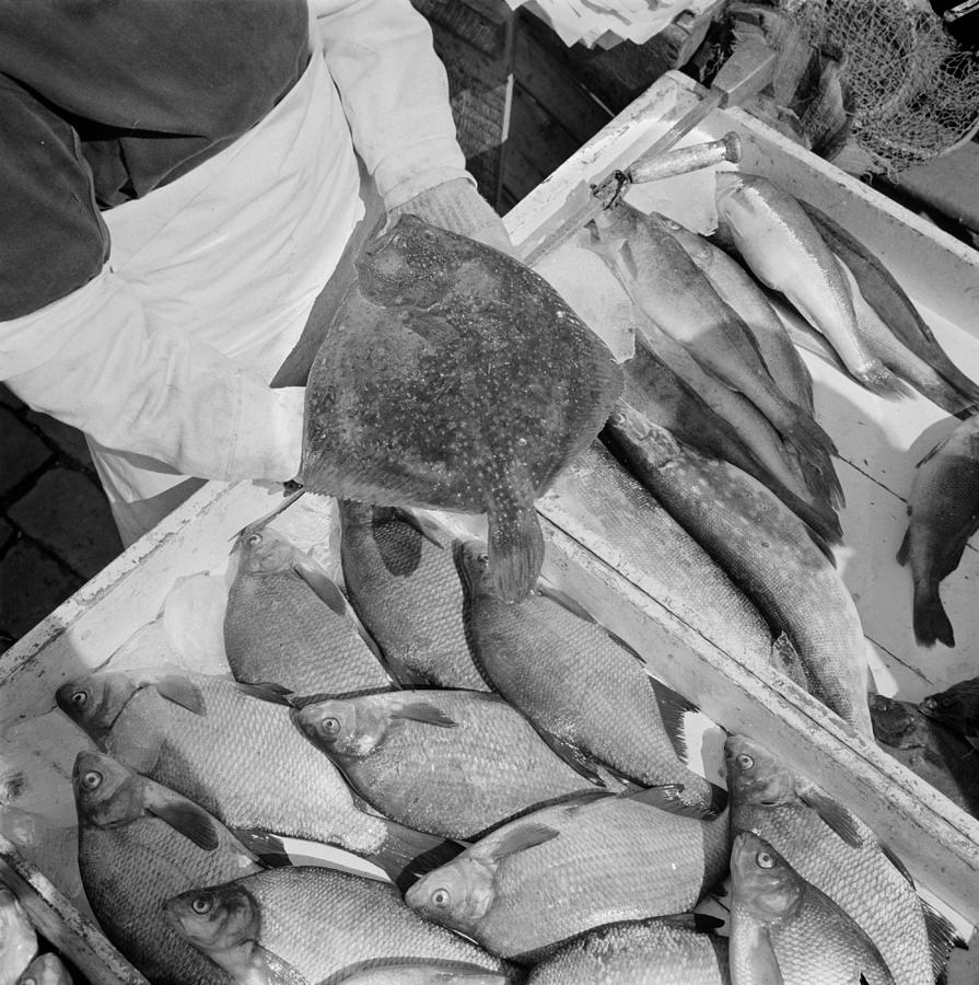 The spring fish supply of the Helsinki Market Square in April 1961 Painting by Celestial Images