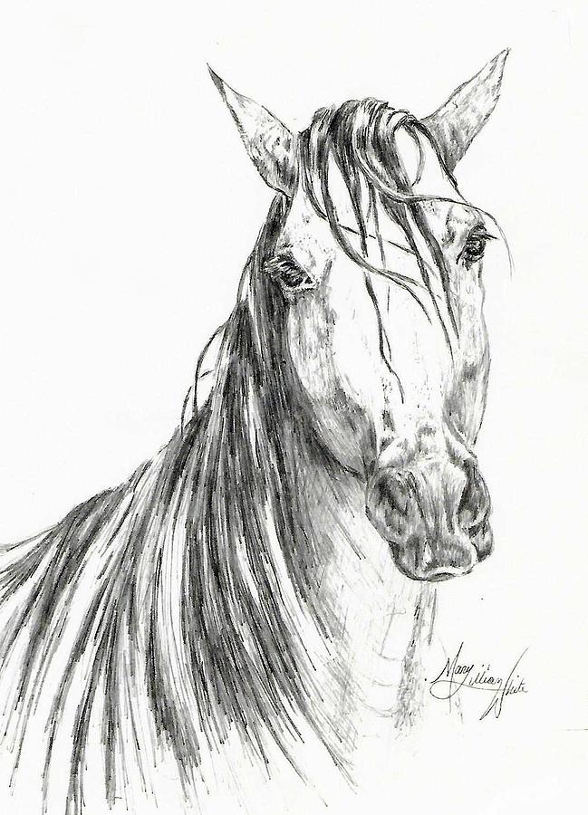 Horse Sketch Logo