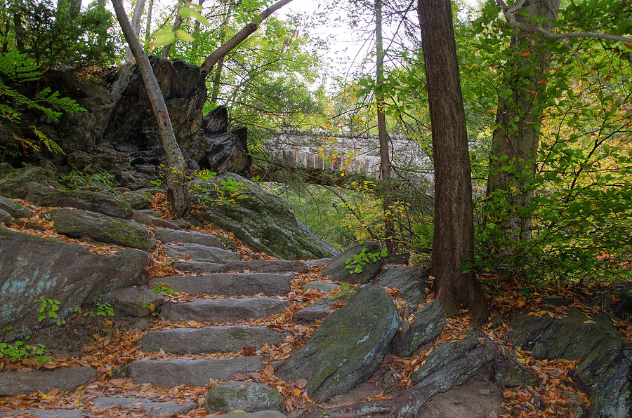 The Steps to Devils Pool - Wissahickon Valley Photograph by Bill Cannon