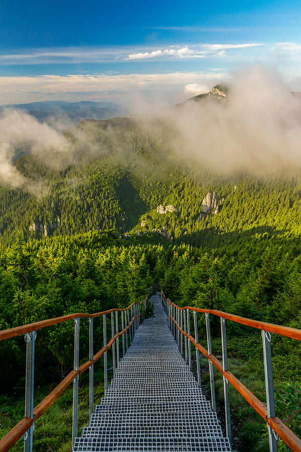 The Steps To Toaca Peak In Ceahlau Mountains, Romania. Photograph