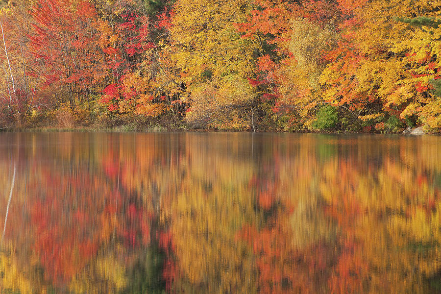 The Stillness Of Autumn Photograph by Karol Livote
