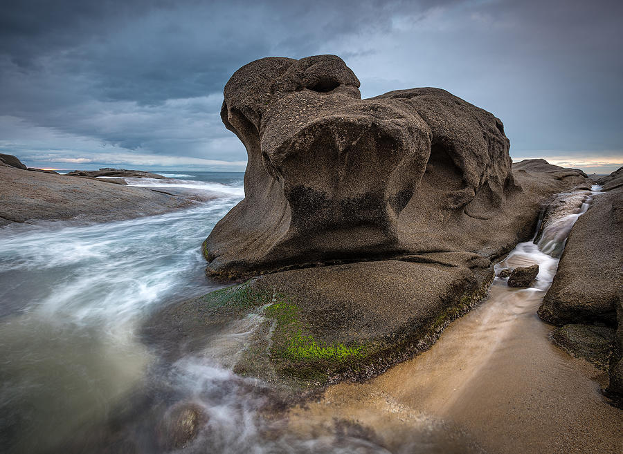 The Stone Beast Photograph by Rafael Mirabet