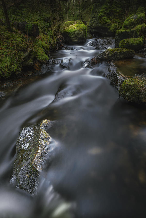 Nature Photograph - The Stream by Benny Pettersson