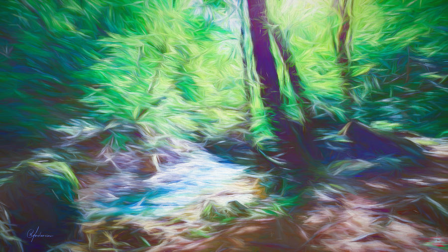 The stream in the forest by Per Andersson The stream in the forest by Per Andersson